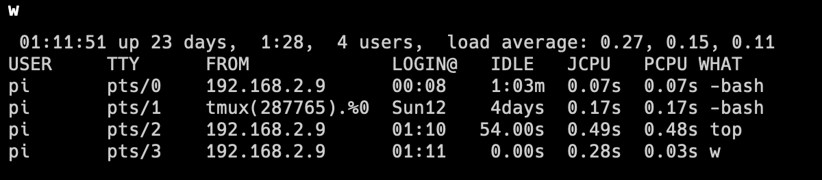 image-20230203011157641